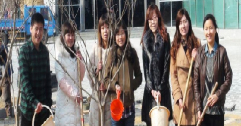 公司組織青年志愿者進(jìn)行植樹活動(dòng)