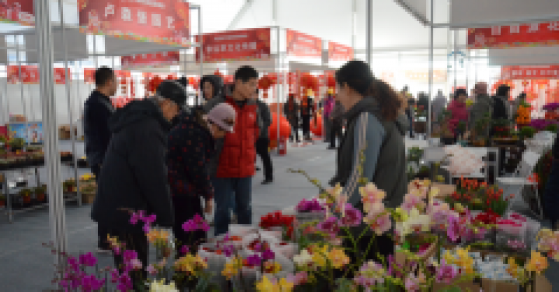 太火爆！金沙灘啤酒城春節(jié)國際商品展銷會延期三天